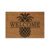 New Coir Outdoor Rugs - Welcome Pineapple, 16x24